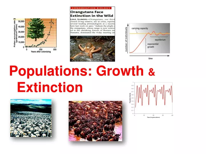 populations growth extinction