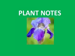 PLANT NOTES