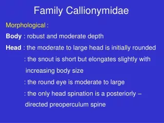 Family Callionymidae