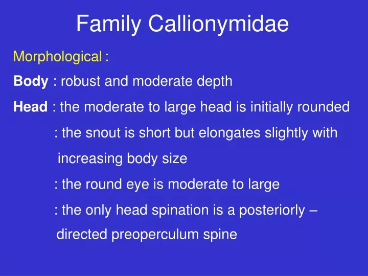 family callionymidae