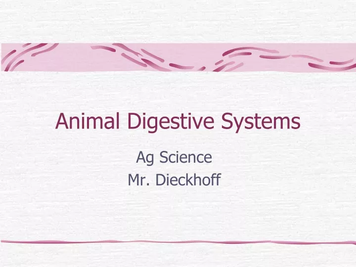 animal digestive systems