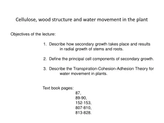 Cellulose, wood structure and water movement in the plant