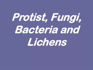 Protist, Fungi, Bacteria and Lichens