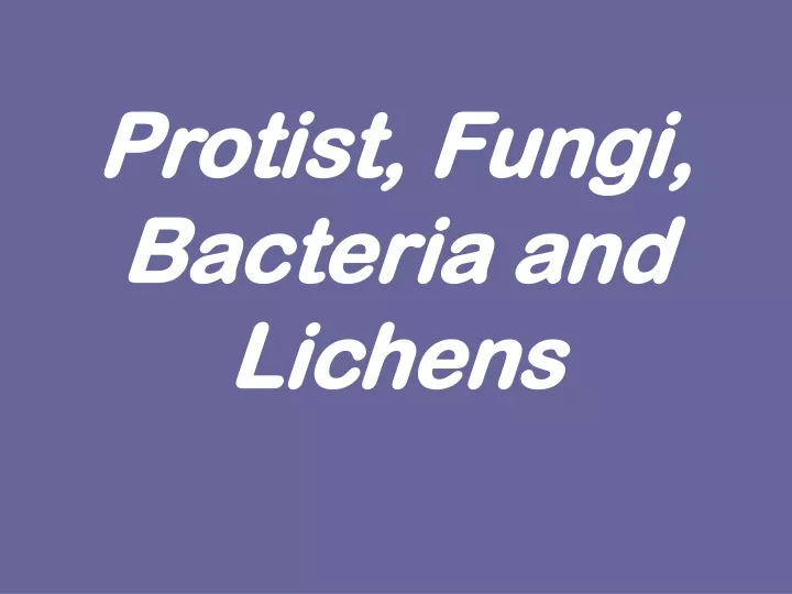 protist fungi bacteria and lichens