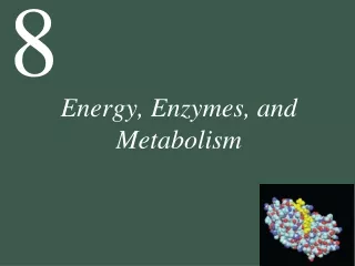 Energy, Enzymes, and Metabolism