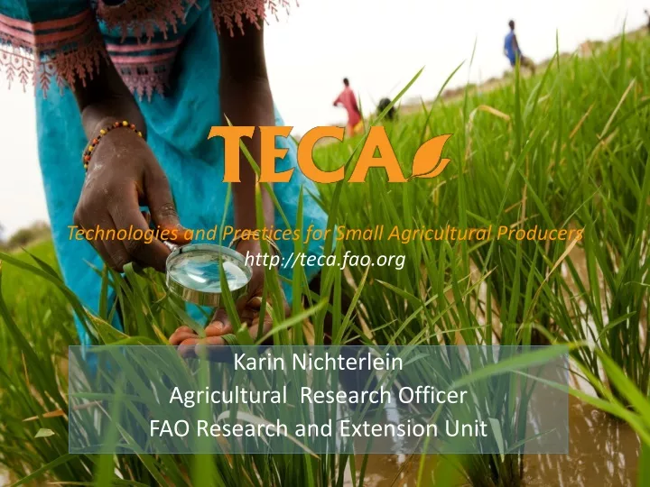 karin nichterlein agricultural research officer fao research and extension unit
