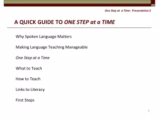 One Step at  a Time :  Presentation 3 A QUICK GUIDE TO  ONE STEP at a TIME