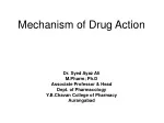 PPT - Mechanism Testing Of The Drug (Modified Megestrol) PowerPoint ...