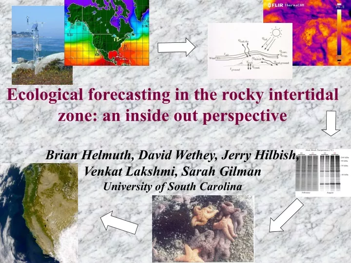 ecological forecasting in the rocky intertidal