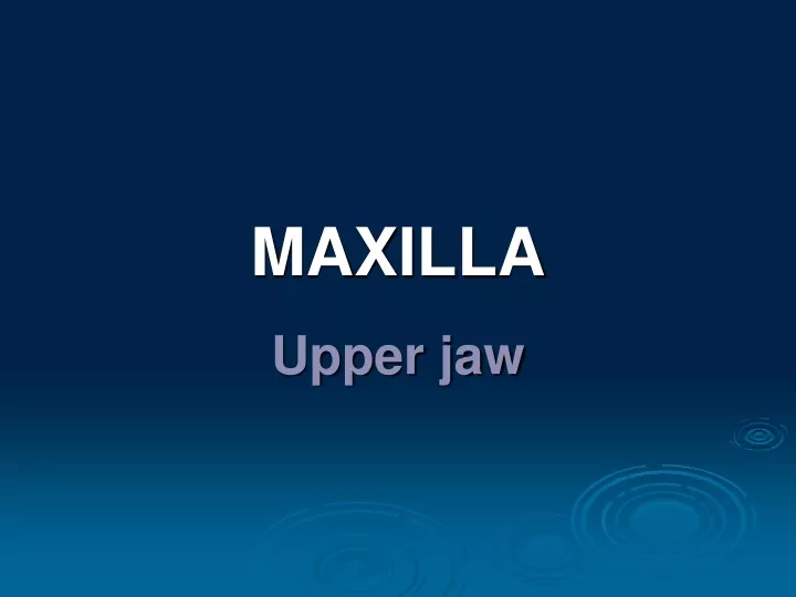 maxilla upper jaw