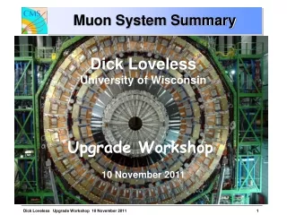 Muon System Summary