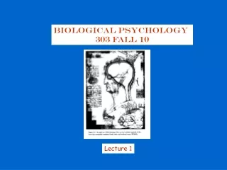 Biological Psychology  303 Fall 10