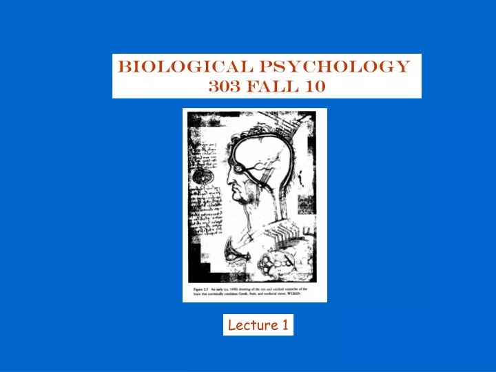 biological psychology 303 fall 10