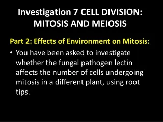 Investigation 7 CELL DIVISION:  MITOSIS AND MEIOSIS