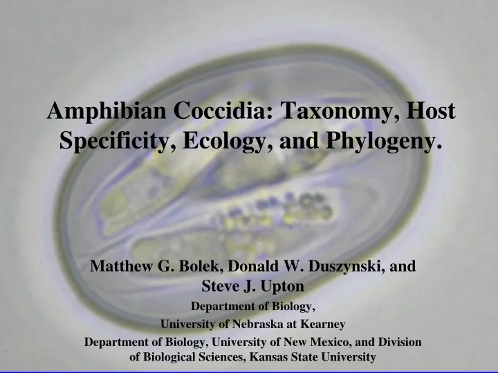 amphibian coccidia taxonomy host specificity ecology and phylogeny