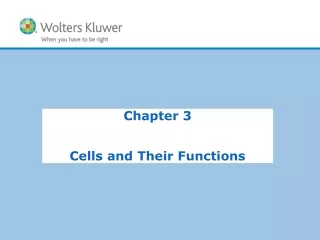 Chapter 3 Cells and Their Functions