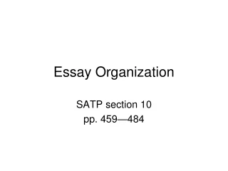 Essay Organization