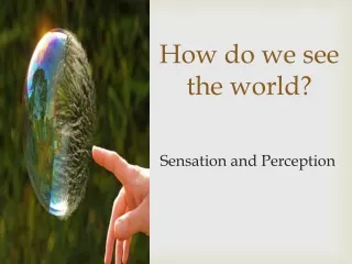 How do we see the world?