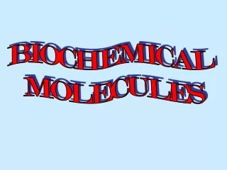 BIOCHEMICAL  MOLECULES