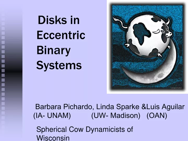 disks in eccentric binary systems