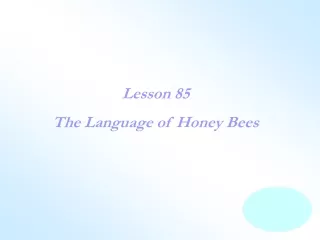 Lesson 85 The Language of Honey Bees