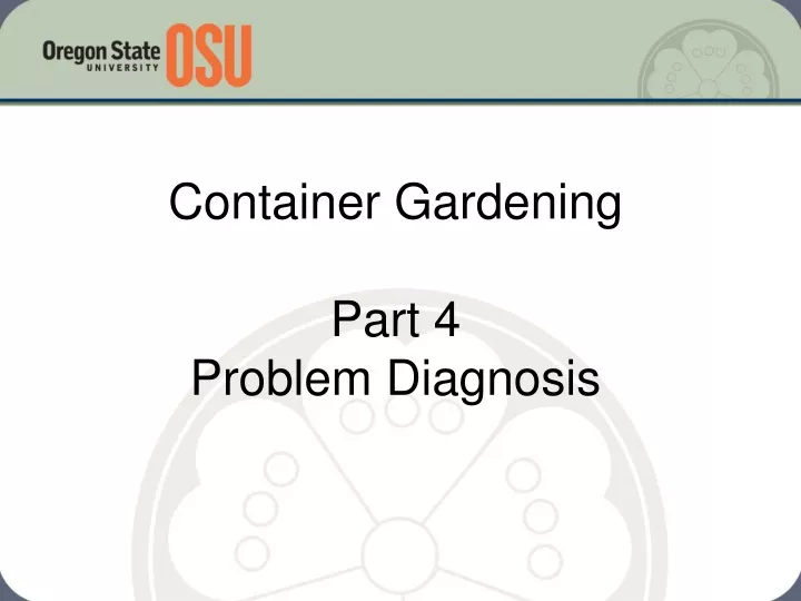 container gardening part 4 problem diagnosis
