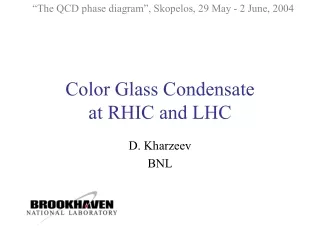 Color Glass Condensate at RHIC and LHC