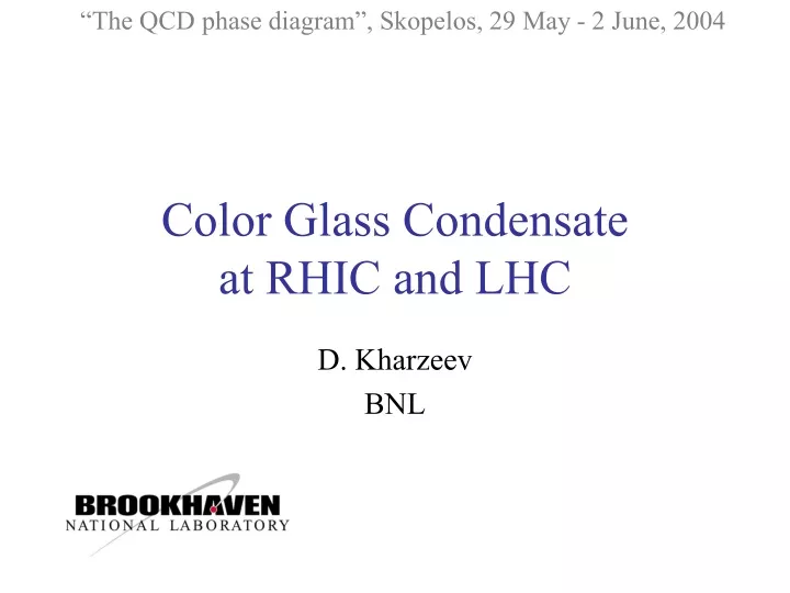 color glass condensate at rhic and lhc