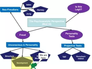 The Psychoanalytic Perspective (Mod 44)