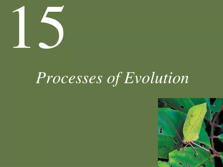 processes of evolution