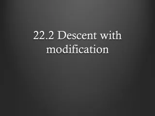 22.2 Descent  with modification
