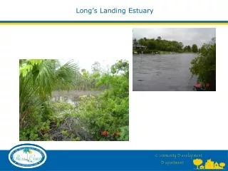 Long’s Landing Estuary