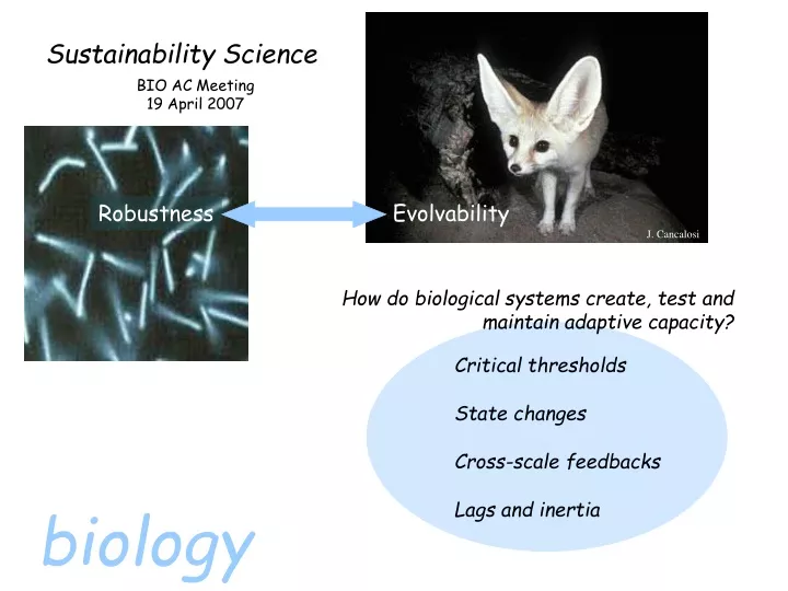 sustainability science
