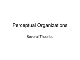 Perceptual Organizations