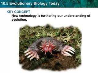 KEY CONCEPT  New technology is furthering our understanding of evolution.