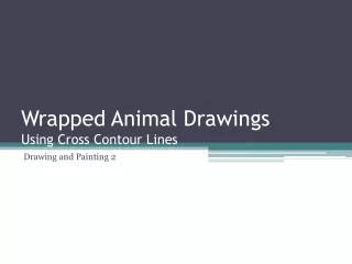 Wrapped Animal Drawings Using Cross Contour Lines