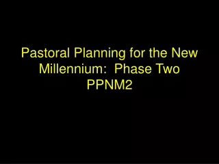 Pastoral Planning for the New Millennium:  Phase Two PPNM2