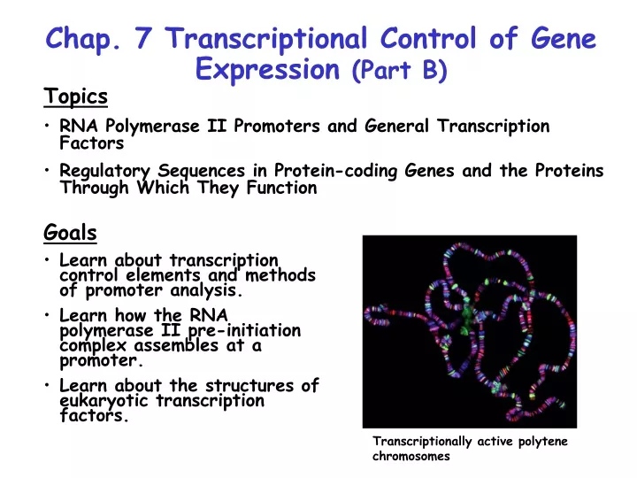 chap 7 transcriptional control of gene expression