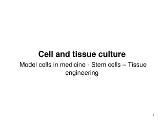 Cell and tissue culture Model cells in medicine  -  Stem cells  – Tissue engineering