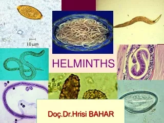 helminths