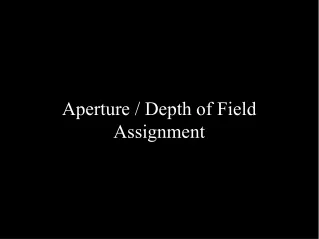 Aperture / Depth of Field Assignment