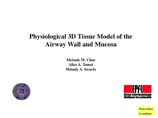 Physiological 3D Tissue Model of the  Airway Wall and Mucosa Melanie M. Choe Alice A. Tomei
