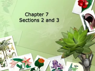 Chapter 7	 Sections 2 and 3