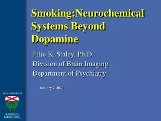 Smoking:Neurochemical Systems Beyond Dopamine