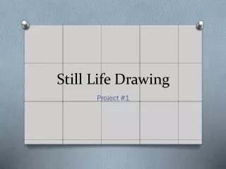 Still Life Drawing