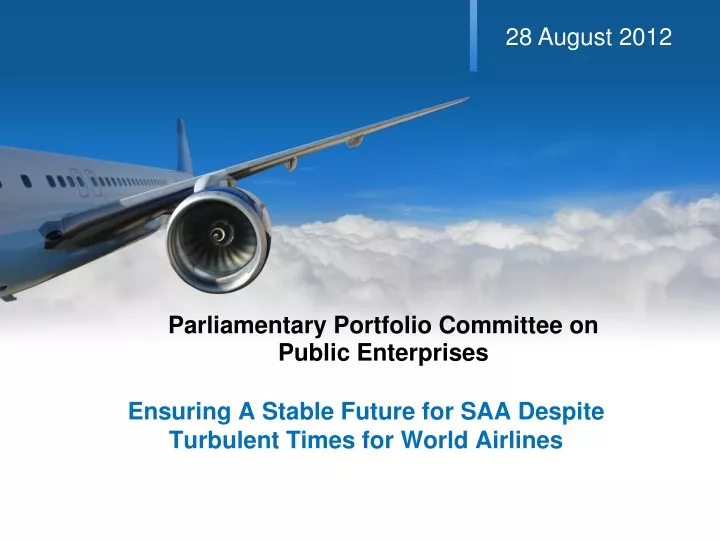 parliamentary portfolio committee on public enterprises