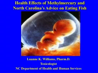 Health Effects of Methylmercury and North Carolina’s Advice on Eating Fish