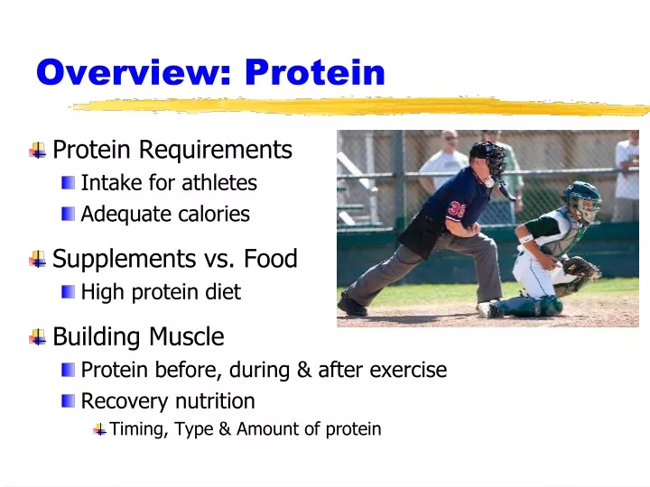 overview protein