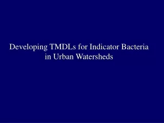 Developing TMDLs for Indicator Bacteria in Urban Watersheds