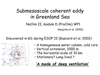 Submesoscale coherent eddy  in Greenland Sea